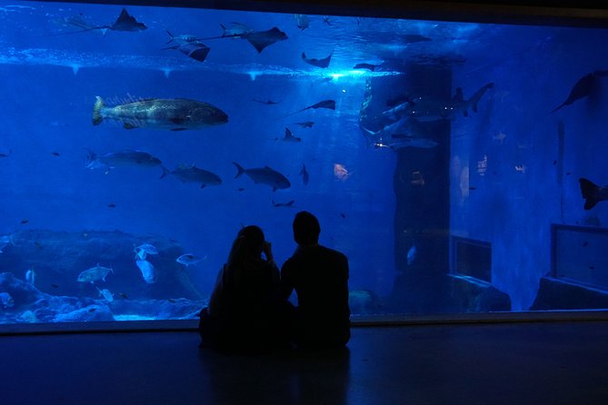 Seville Aquarium Admission Ticket - How long the visit really takes