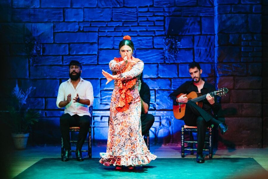 Seville: Baraka Sala Flamenca Show with Drink in Triana - What happens during the one-hour performance