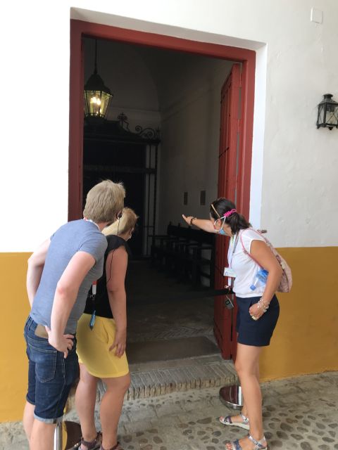 Seville: Bullring Guided Tour with a Skip-the-Line Ticket - Who will enjoy this Seville tour?