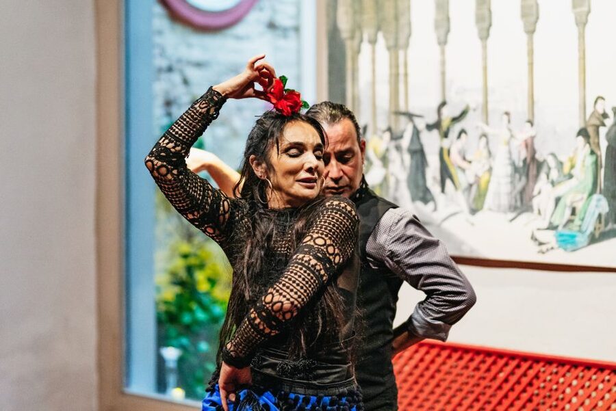 Seville: Casa de la Memoria Flamenco Show - The performance: guitar, singing, and footwork