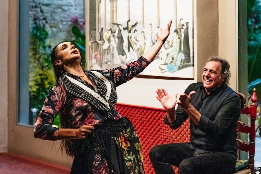 Seville: Casa de la Memoria Flamenco Show - Who will enjoy this flamenco show most