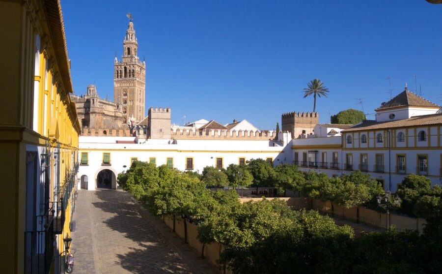 Seville: Cathedral, Giralda & Alcázar Guided Tour - How the guides shape the experience