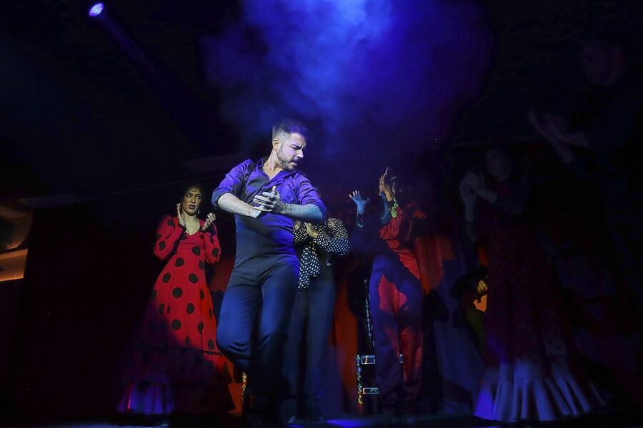 Seville: Flamenco Show Ticket at Tablao Flamenco Las Setas - What happens during the one-hour performance
