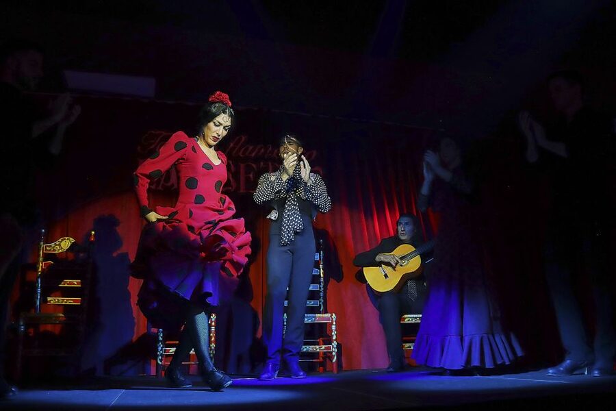Seville: Flamenco Show Ticket at Tablao Flamenco Las Setas - Who should book this performance?
