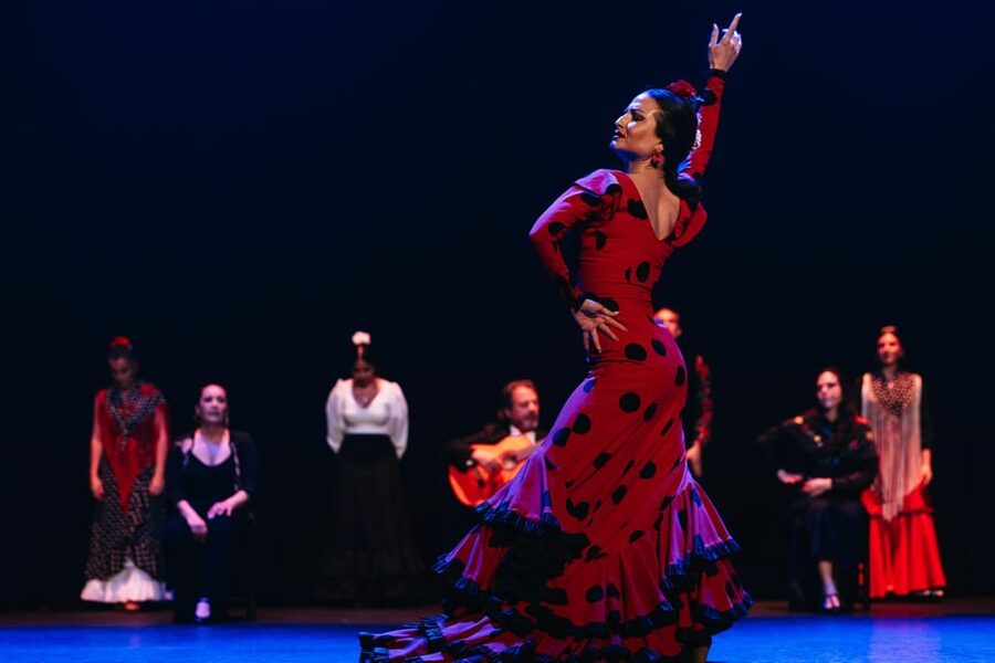 Seville: Live Flamenco Dancing Show Ticket at the Theater - What Teatro Flamenco Sevilla gives you in one hour