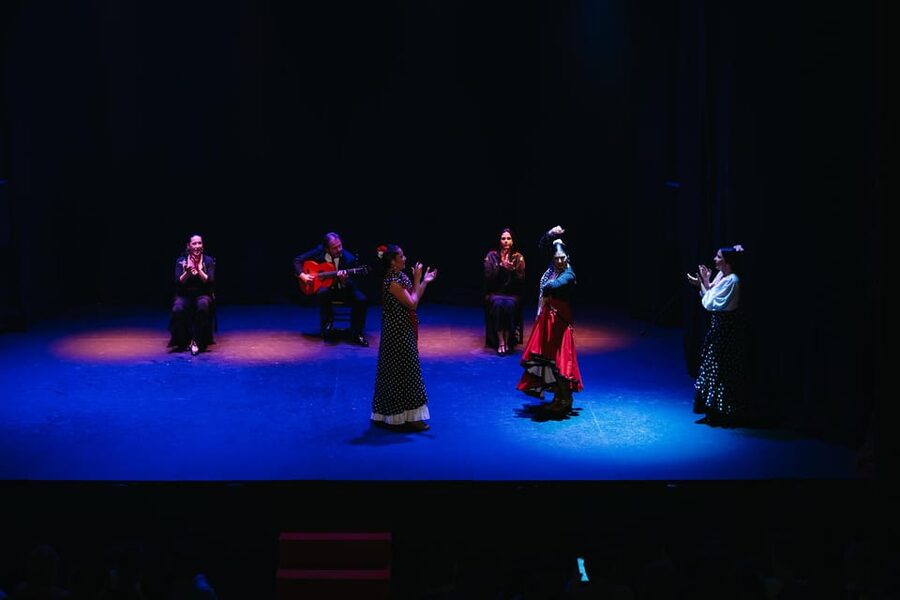 Seville: Live Flamenco Dancing Show Ticket at the Theater - How authentic is a theater flamenco show?