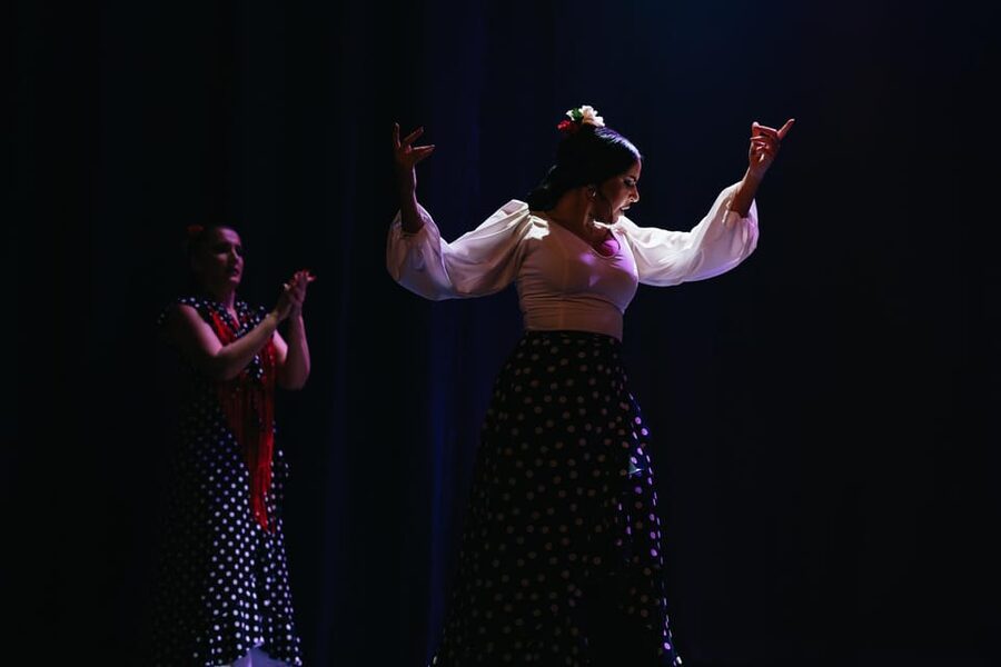 Seville: Live Flamenco Dancing Show Ticket at the Theater - Practical advice before you go