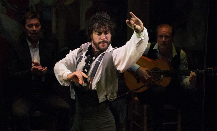 Seville: Live Flamenco Show at "Teatro Flamenco Triana" - Key Points at a Glance