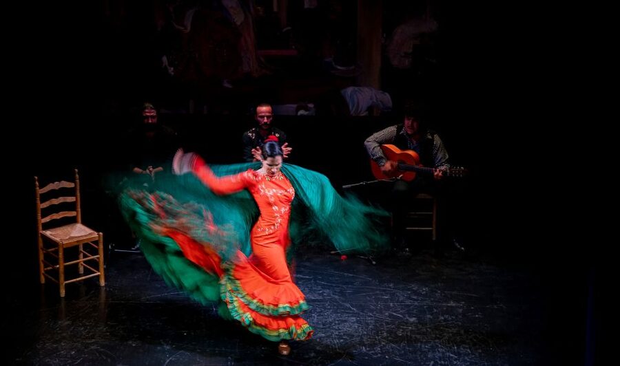 Seville: Live Flamenco Show at "Teatro Flamenco Triana" - Award-Winning Artists and the Foundation Behind the Theater