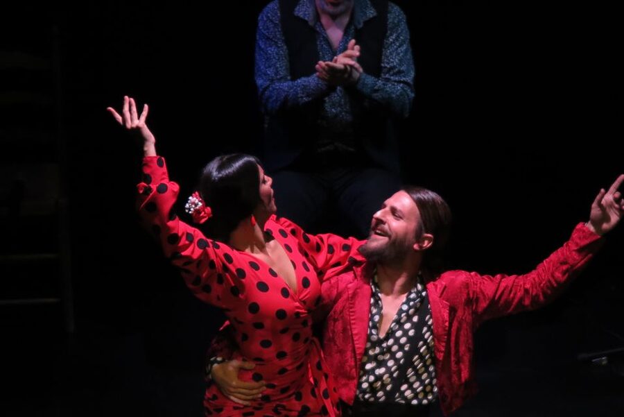 Seville: Live Flamenco Show at "Teatro Flamenco Triana" - Is $28 a Fair Price?