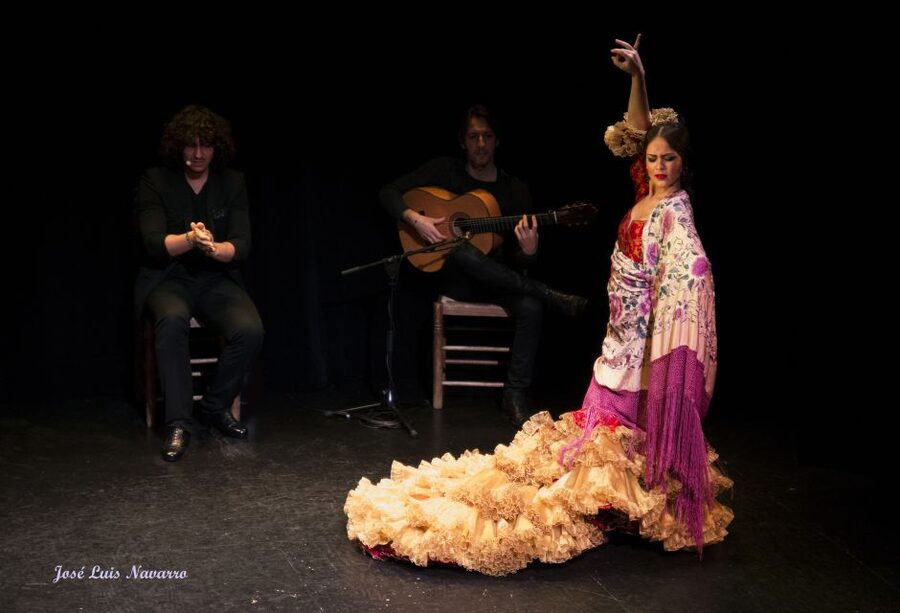 Seville: Live Flamenco Show at "Teatro Flamenco Triana" - Practical Tips Before You Go