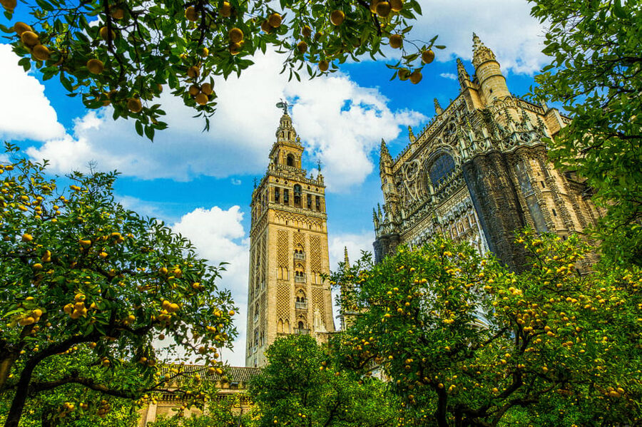 Seville: Priority Access Cathedral, Giralda & Alcázar Tour - Why this three-monument tour works in Seville