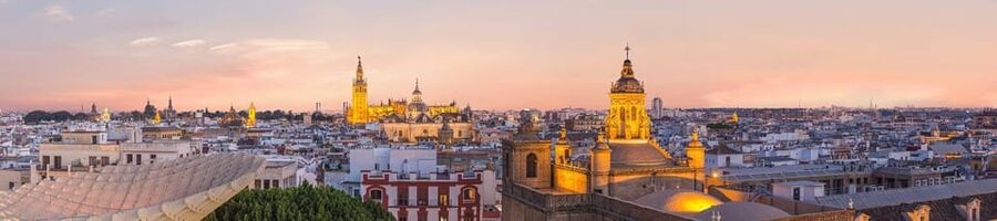Seville: Priority Access Cathedral & Giralda Tour - How the guides shape the visit