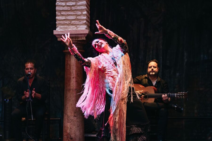 Seville: Puro Flamenco Show with Optional Museum Ticket - Should you book Puro Flamenco?