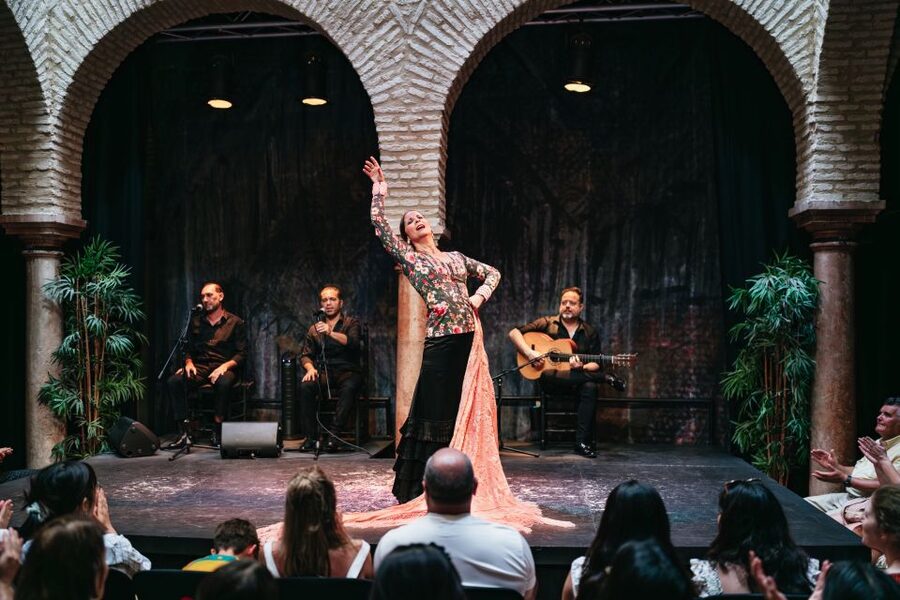 Seville: Puro Flamenco Show with Optional Museum Ticket - A close-up flamenco performance in Santa Cruz