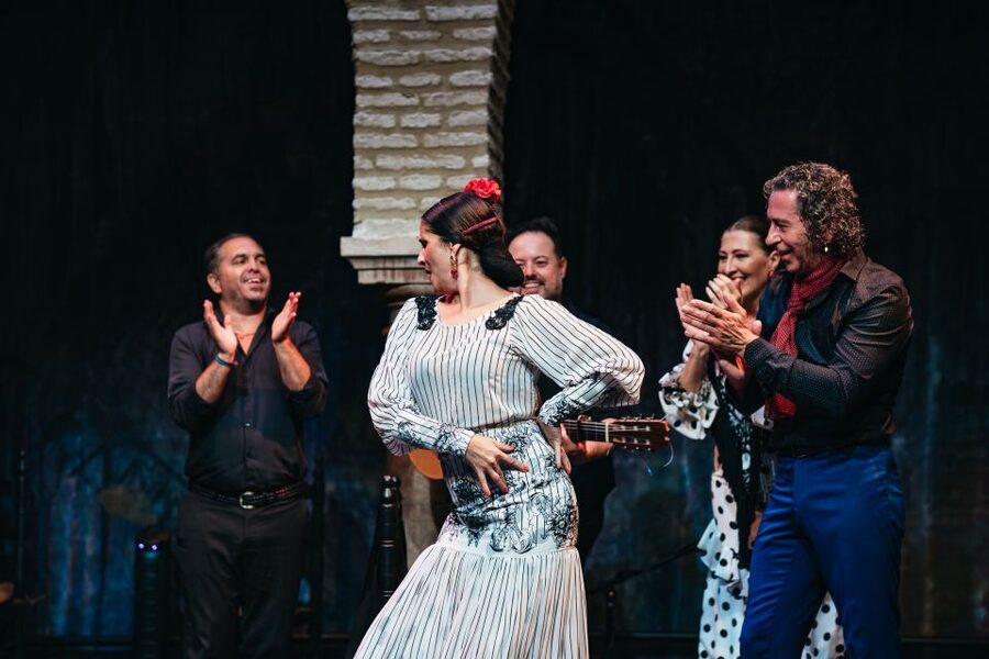 Seville: Puro Flamenco Show with Optional Museum Ticket - How the music and dancing work together