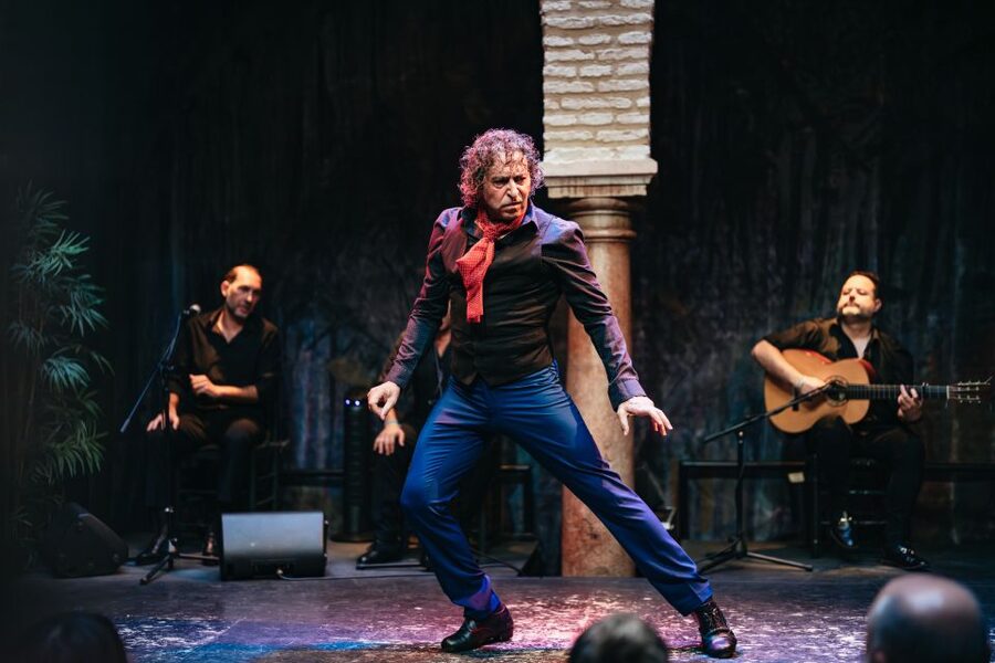 Seville: Puro Flamenco Show with Optional Museum Ticket - Who should book this show?