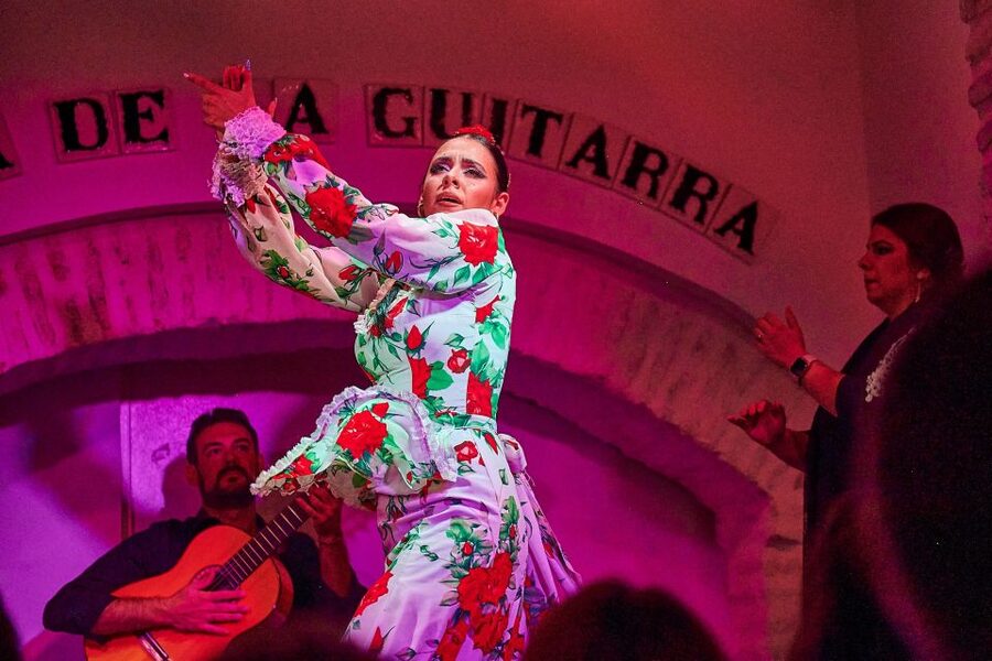 Seville: Ticket to Flamenco Show at La Casa de la Guitarra - My recommendation: book it if you want substance without fuss