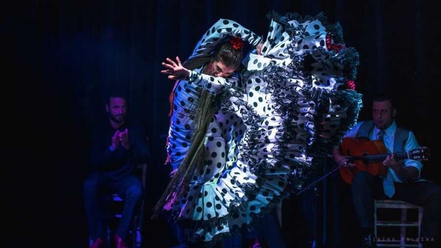 Seville: Traditional Flamenco Show in Triana - The finale brings everyone together