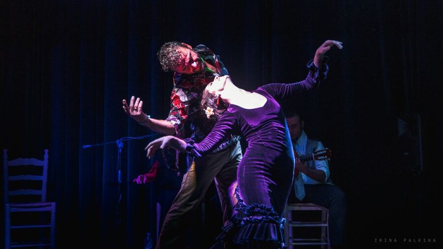 Seville: Traditional Flamenco Show in Triana - What the small room gives you, and what it takes away