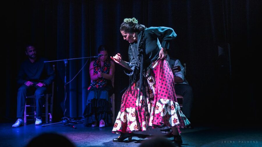 Seville: Traditional Flamenco Show in Triana - Who will enjoy this show most