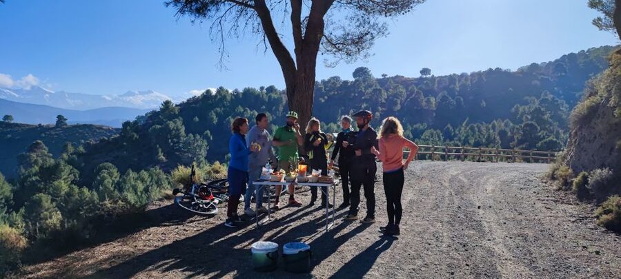 Sierra Nevada Small Group E-Bike Tour - Should You Book the Sierra Nevada E-Bike Tour?