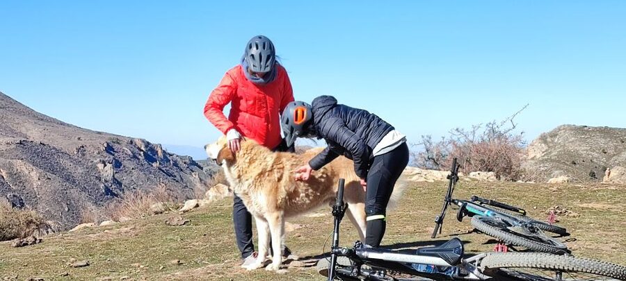 Sierra Nevada Small Group E-Bike Tour - Is $117 Good Value?