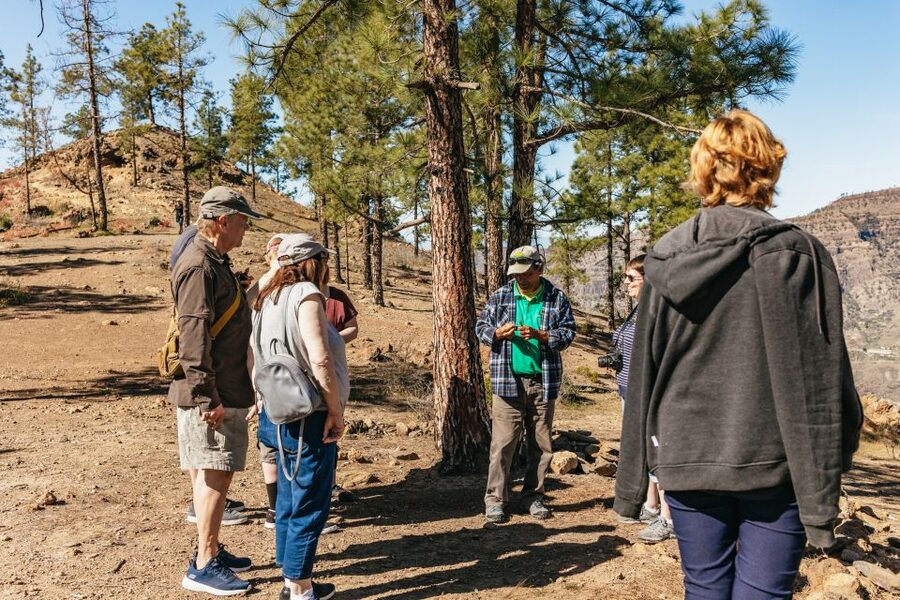 South Gran Canaria: Off-Road Valleys & Villages Jeep Tour - Key points at a glance