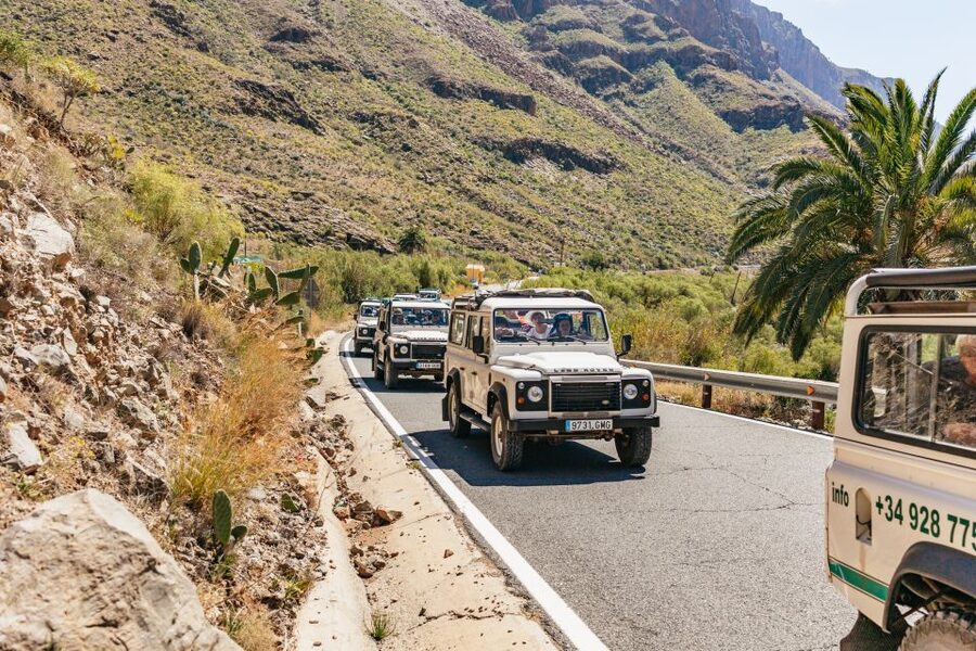 South Gran Canaria: Off-Road Valleys & Villages Jeep Tour - Through the Valley of the Thousand Palms and Fataga