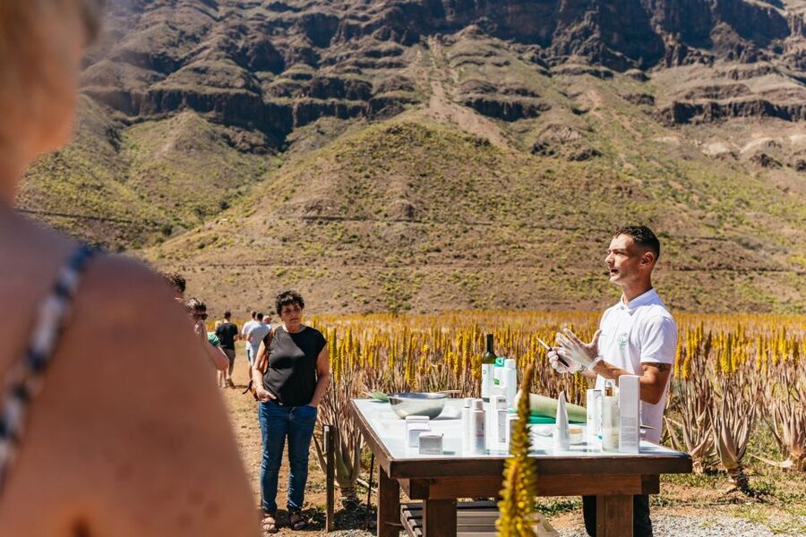 South Gran Canaria: Off-Road Valleys & Villages Jeep Tour - The final views at Las Moscas