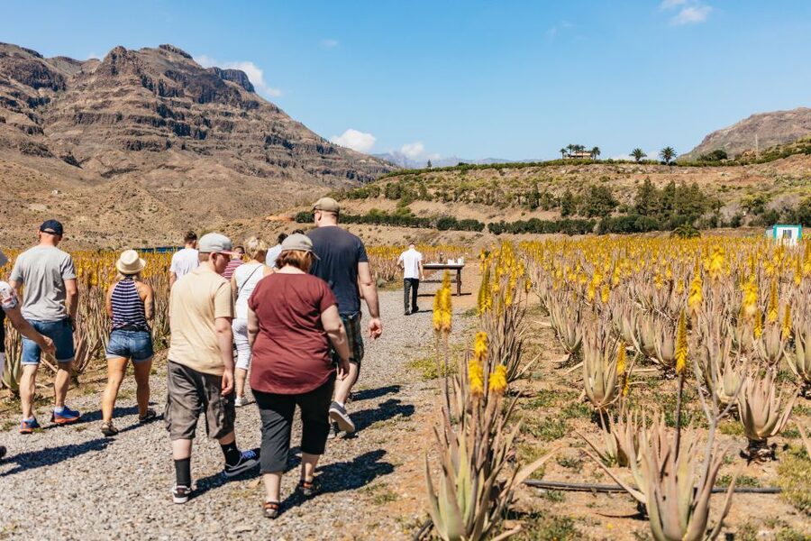 South Gran Canaria: Off-Road Valleys & Villages Jeep Tour - The Salobre to Lake Chira drive