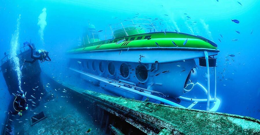 Southern Tenerife: 50-Minute Submarine Dive - The View From Your Seat Matters