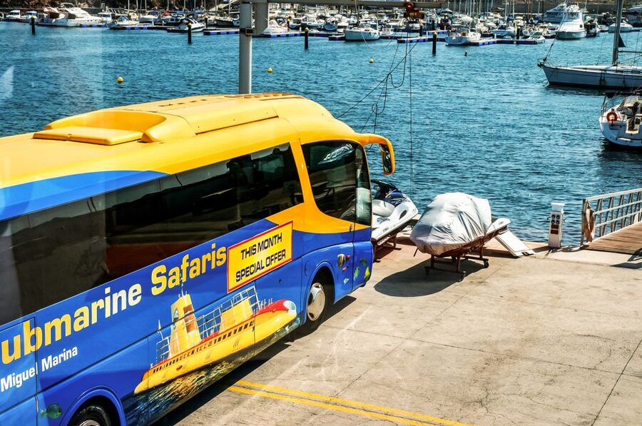 Southern Tenerife: 50-Minute Submarine Dive - Rays, Barracuda, and Other Atlantic Life