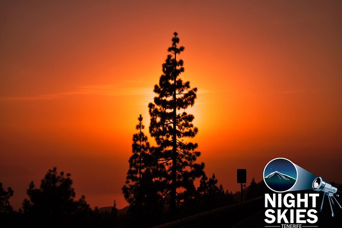 Teide National Park Sunset & Stargazing with Dinner (Star Safari) - The coach ride from South Tenerife