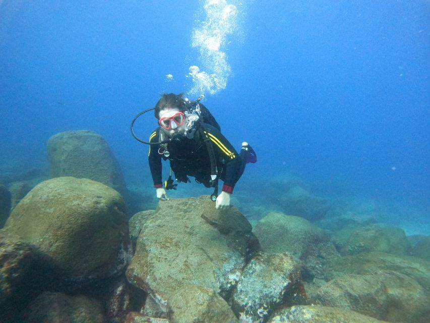 Tenerife: Beginners Scuba Dive Experience in Turtle Area - Key points before you book