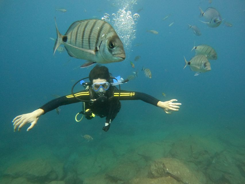 Tenerife: Beginners Scuba Dive Experience in Turtle Area - The 30-minute briefing: the part you should take seriously