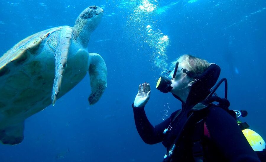 Tenerife: Beginners Scuba Dive Experience in Turtle Area - The 15-minute speedboat ride to the water