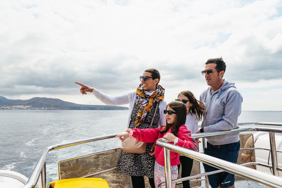 Tenerife: Eco-Yacht Whale and Dolphin Watching and Swimming - Seasickness, weather, and comfort