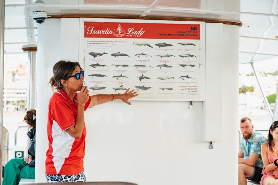 Tenerife: Eco-Yacht Whale and Dolphin Watching and Swimming - The Travelin Lady, a boat built for this job