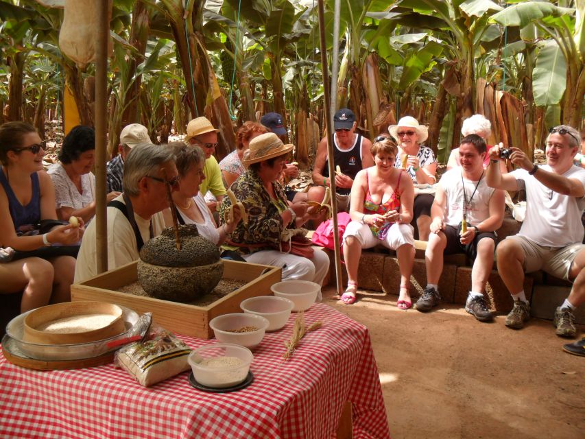 Tenerife: Finca Las Margaritas Banana Plantation Experience - Should you book the banana plantation experience?