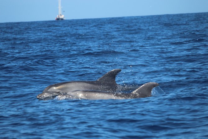Tenerife : Jet Ski Tour with option for Quad Trip - Photos, showers, and the small practical comforts