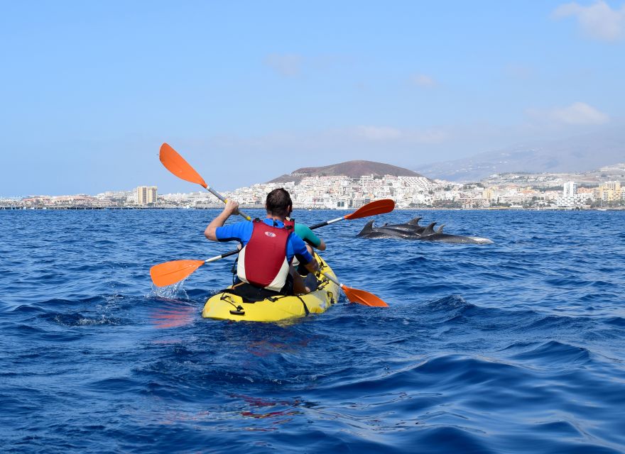 Tenerife: Kayak and Snorkel with Turtles, Wetsuits Included - Snorkeling in a bay reached only by boat