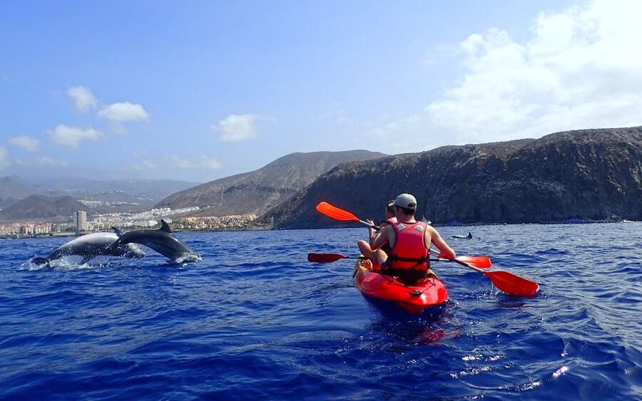 Tenerife: Kayak and Snorkel with Turtles, Wetsuits Included - The guides and the feel of the group