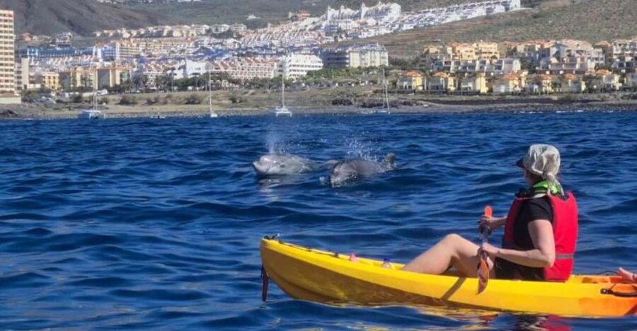 Tenerife: Kayak Safari and Sea Turtle Snorkeling with Photos - Paddling Along Southern Tenerife’s Marine Reserve