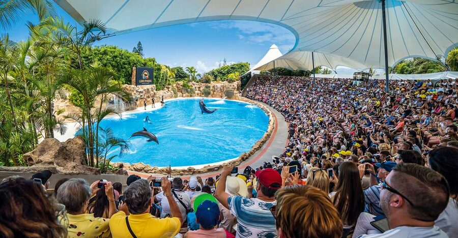 Tenerife: Loro Parque Entry Ticket - Key points before you go