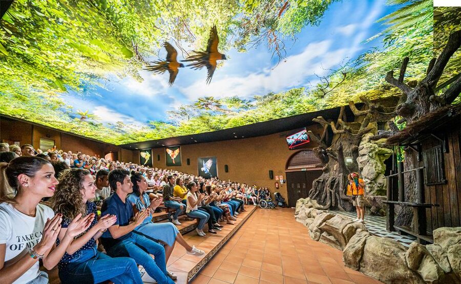 Tenerife: Loro Parque Entry Ticket - Why Loro Parque can fill an entire Tenerife day