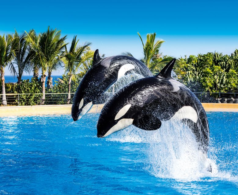 Tenerife: Loro Parque Entry Ticket - Gorillas and the wider animal collection