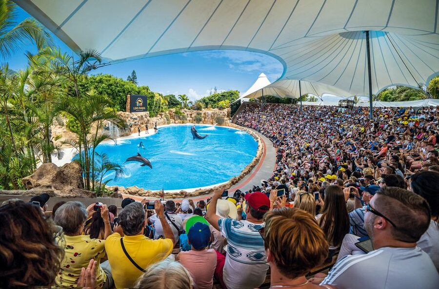 Tenerife: Loro Parque Entry Ticket - Entering at the main gate in Puerto de la Cruz