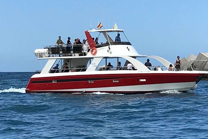 Tenerife Los Cristianos: Whale and Dolphin Eco-Yacht and Swim Stop - Choosing the best departure