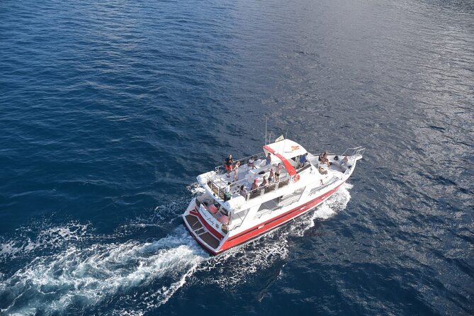 Tenerife Los Cristianos: Whale and Dolphin Eco-Yacht and Swim Stop - Booking and cancellation details